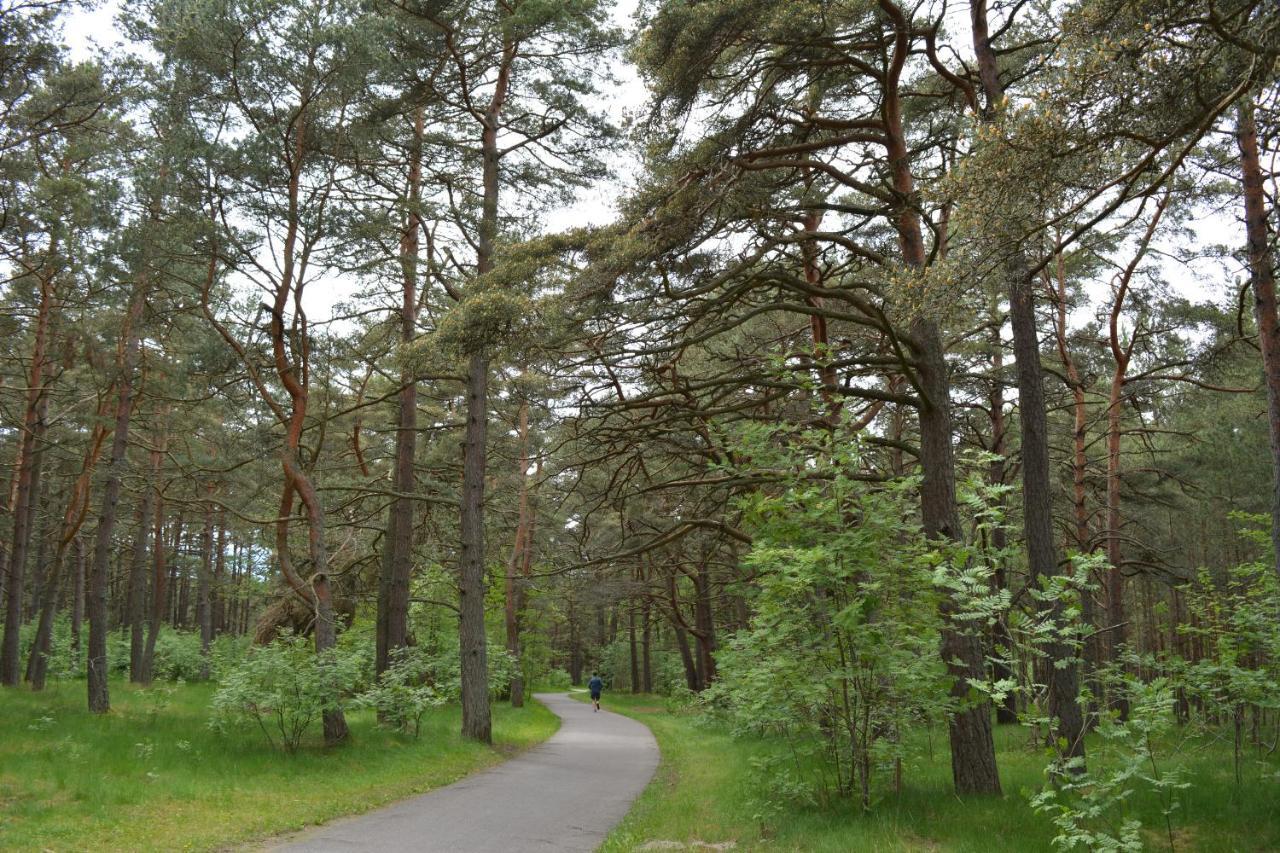 Gamtos Apsupty Apartment Palanga Luaran gambar